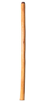 Epoxy Resin Finish Didgeridoo (TM430)